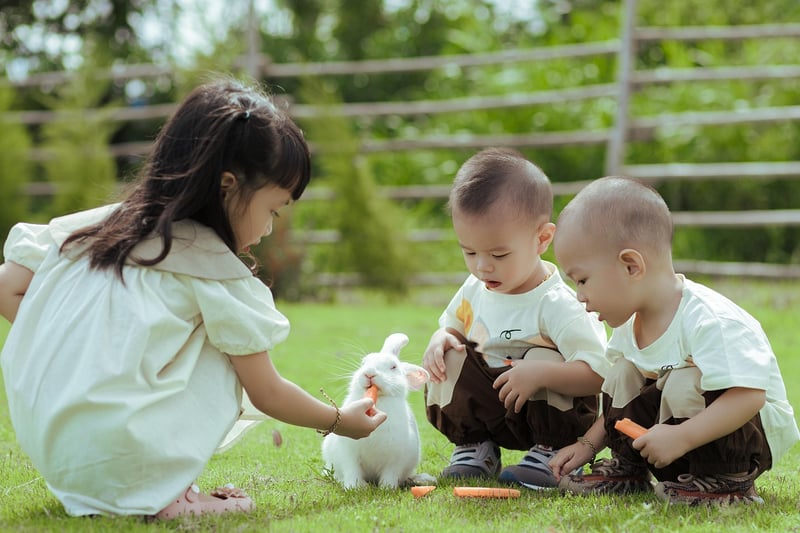 Outdoor Picnics